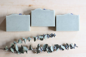 Nat Botanicals Eucalyptus Mint Natural Soap with Cambrian Blue Clay | Palm-Oil Free and Vegan Soap.