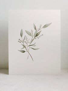 Watercolor Eucalyptus Print